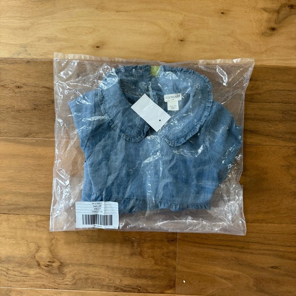 Brand New J. CrewToddler Girls Chambray Shirt Dress,  Button Back, Size 3T, NWT - Picture 3 of 3